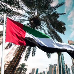 🇦🇪 National Day Celebration Package